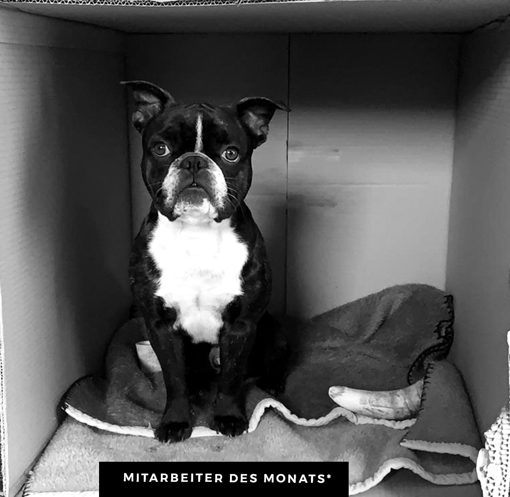 Mitarbeiter des Monats